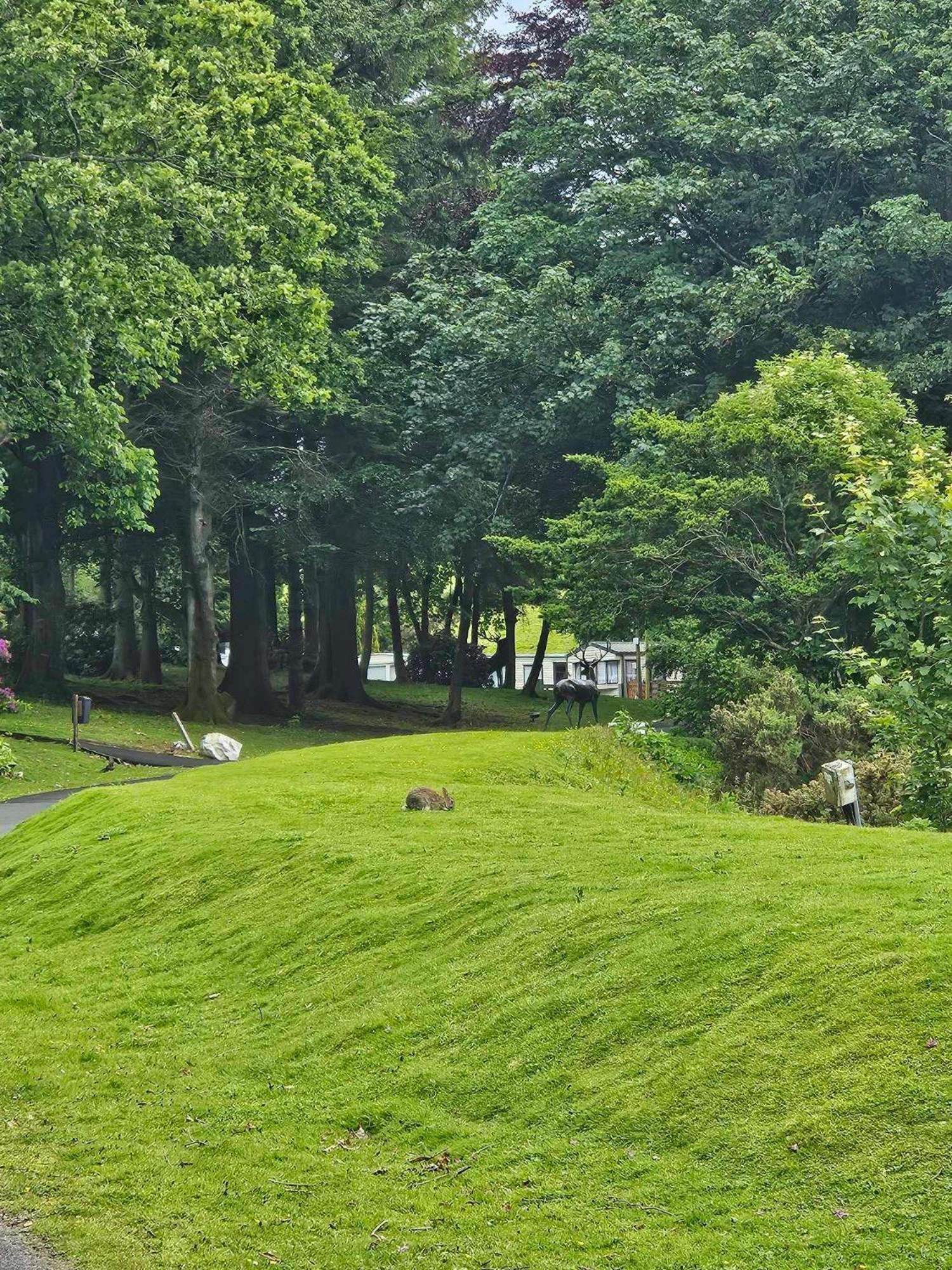 The Sunny Bunny Holiday Home Ballantrae Exterior photo